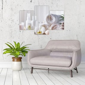 Tablou - Spa (90x60 cm)