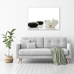 Tablou pe pânză canvas Orhidee