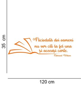Sticker perete Nu citim la fel aceeasi carte