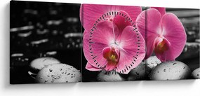 Tablou - Orhidee roz (cu ceas) (90x30 cm)