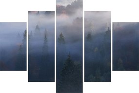 Tablou - Pădure în ceță, Carpați, Ucraina (150x105 cm)
