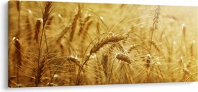 Tablou - Spice de cereale (120x50 cm)