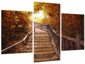 Tablou - Scări în natură în toamnă (90x60 cm)