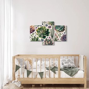 Tablou - Plante suculente (90x60 cm)