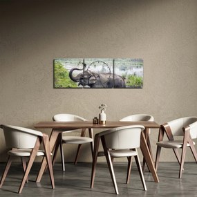 Tablou - Elefant de scăldat (cu ceas) (90x30 cm)