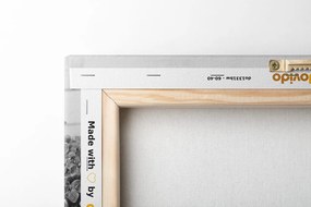 Tablou inimă din răchită cu felinare și liliacul în design alb-negru