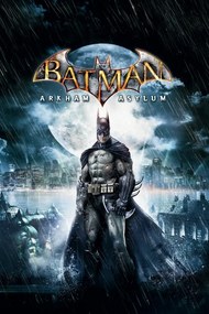 Poster de artă Batman Arkham Asylum, (26.7 x 40 cm)