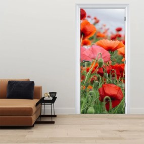 Fototapet pentru ușă - Câmpul cu maci (95x205cm)