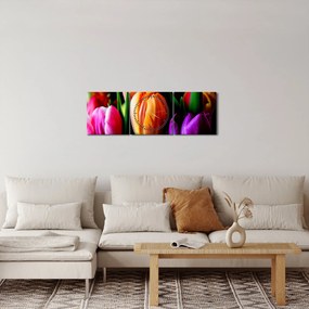 Tablou -Lalele pe fond negru (cu ceas) (90x30 cm)