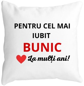 Perna Decorativa pentru Bunicul 3, 40x40 cm, Alba, Mata, Husa Detasabila, Burduf