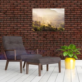 Tablou - Zori de zi (70x50 cm)