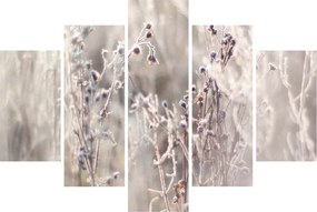 Tablou - Plante (150x105 cm)