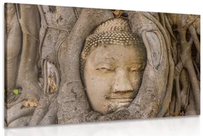 Tablu Budha și smochinul sacru