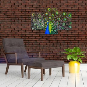 Tablou - Păun (90x60 cm)