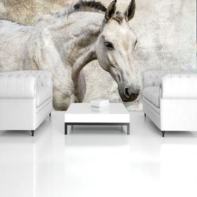 Fototapet - Cal (152,5x104 cm)