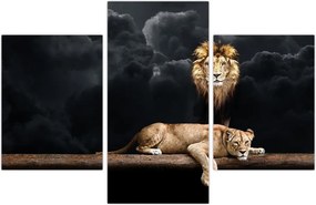 Tablou - Leu și leoaică (90x60 cm)