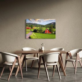Tabloul cu țară (90x60 cm)