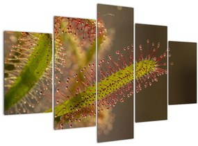 Tablou cu plantă (150x105 cm)