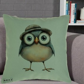 Perna Decorativa Pui cu Palarie Rotunda, 40x40 cm, Verde, Husa Detasabila, Perna Inclusa, BEKZ®