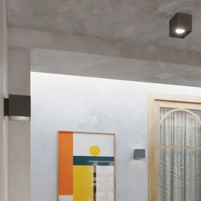 Plafonieră spot QUAD 1 1xGU10/40W/230V