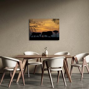 Tablou cu Safari (70x50 cm)