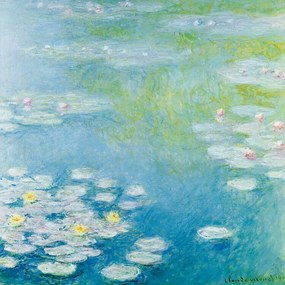 Reproducere Nympheas at Giverny (1908), Claude Monet