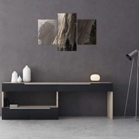 Tablou din valea Yosemite parcul național, SUA (90x60 cm)