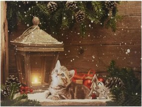 Pictură LED pe perete Pisica în fața felinarului,