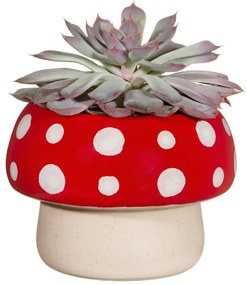 Ghiveci din gresie ø 12 cm - Sass &amp; Belle