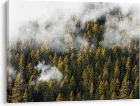 Tablou - Pădure în nori (70x50 cm)