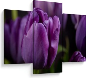 Tablou cu flori de lalele (90x60 cm)