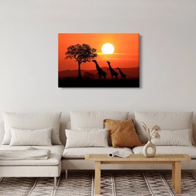Tablou cu girafe în apus de soare (90x60 cm)