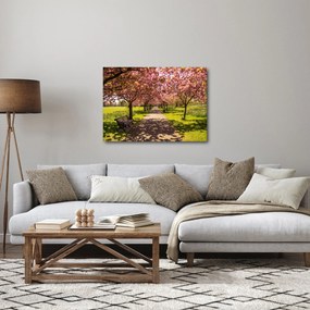 Tablou - livada cu cireși (70x50 cm)