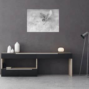 Tablou pe sticlă - Bufniță în câmp (70x50 cm)