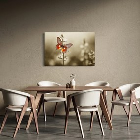 Tablou cu fluture (90x60 cm)