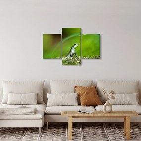 Tablou cu șopârlă (90x60 cm)