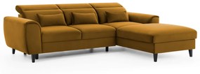 Coltar extensibil Foble pe dreapta Loco 45