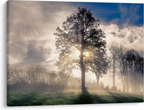 Tablou cu copac în ceață (70x50 cm)