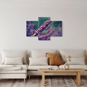Tablou cu lavanda (90x60 cm)