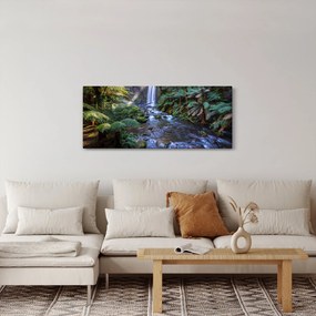 Tablou cu pădurea ploilor din Austalia (120x50 cm)