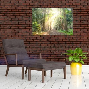 Tablou - Poteci în pădure (90x60 cm)