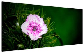 Tablou cu floare roz (120x50 cm), în 40 de alte dimensiuni noi