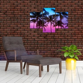 Tablou - Palmieri din Miami (90x60 cm)