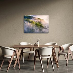 Tablou peisajului montan (70x50 cm)