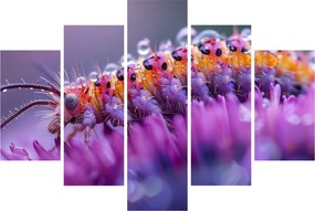 Tablou - Caterpillar (150x105 cm)