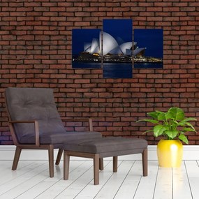 Tabloul Sydney nocturn (90x60 cm)