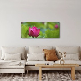 Tablou - floare de apă (120x50 cm)