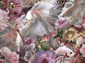 Tablou de perete decorativ Peces Luchador Siam, 120x120cm