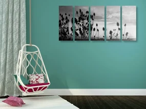 Tablou 5-piese lama de iarbă pe câmp în design alb-negru