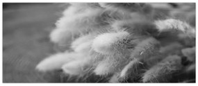 Tablou - iarbă de coadă de iepure pe masă (120x50 cm)